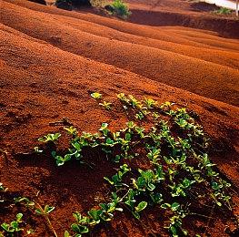 PS6延续可拆卸光驱设计 实体游戏至少再活一代